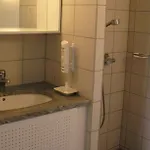 Hotel Henne Mølle å