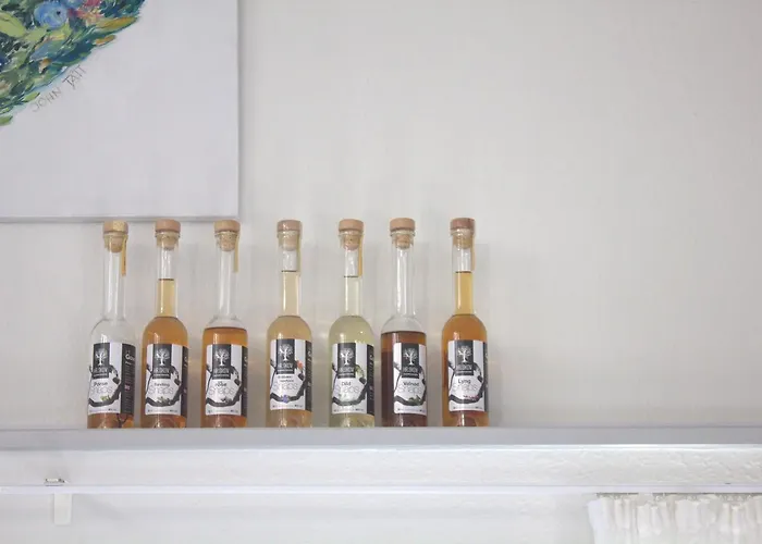 Henne Molle A מלון האנה סטרנד